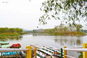 Koya Kujiya Eco Park