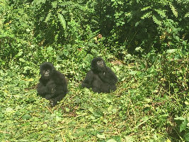 Virunga National Park