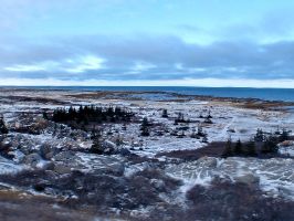 Wapusk National Park