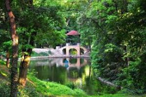 Arboretum Oleksandriya