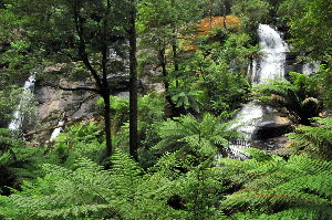 Great Otway National Park