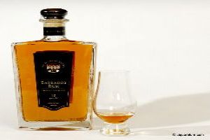 Four Square Rum Distillery Park- Worth visiting spot