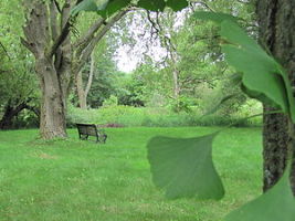 University Of Guelph Arboretum