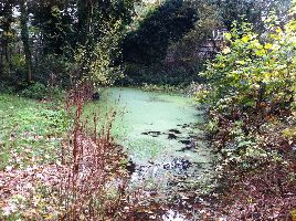 Litten Nature Reserve