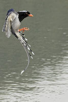 Benog Wildlife Sanctuary