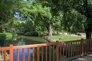 Garden Of The Prebendes DOe