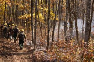 Nantahala  Forest Service