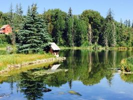 Center For Environmental Studies