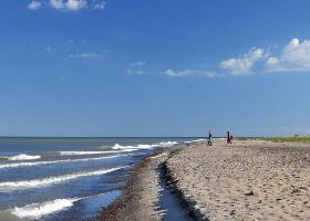 Rondeau Provincial Park