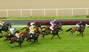 The Derby at Bangalore Turf Club