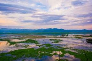 Dipor Bil Bird Sanctuary