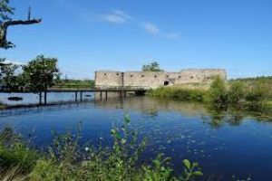 Kronoberg Castle Ruin