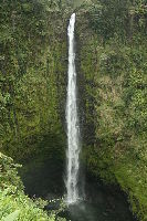 Akaka Falls State Park