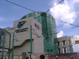 Aquarium of the Americas