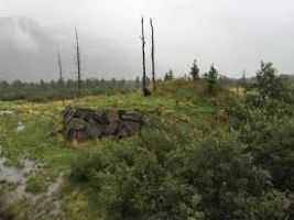 Alaska Wildlife Conservation Center