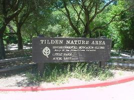 Tilden Nature Area