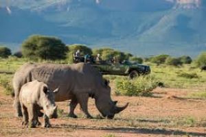 Marakele National Park