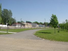 Friends Of The White Pine Trail