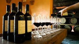 Chianti Wine Experience