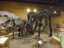 The Wyoming Dinosaur Center
