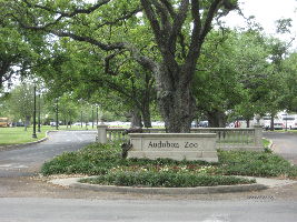 Audubon Zoo