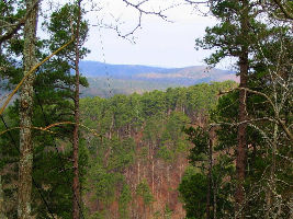 Ouachita National Forest 