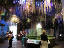 Audubon Butterfly Garden and Insectarium