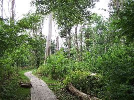 Dalby Soderskog National Park