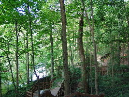 Fort Harrison State Park