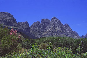 Jonkershoek Nature Reserve