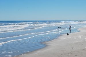  Padre Island National Seashore