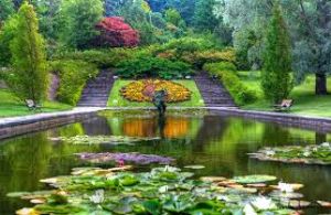 Gothenburg Botanical Garden