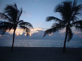 Fort Lauderdale Beaches