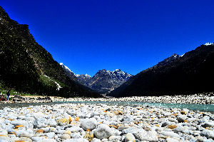 Yumthang Valley Of Flowers 