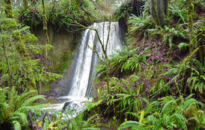 Cold Creek Natural Area  