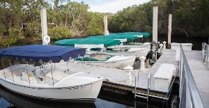 Conservancy Of Southwest Florida