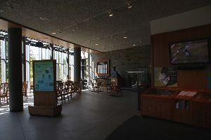 Cornell Lab of Ornithology