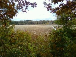 Cutler Park Reservation