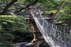 FRIM Canopy Walkway