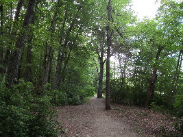 Hammond Pond Reservation