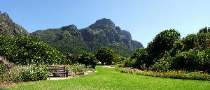 Kirstenbosch National Botanical Garden