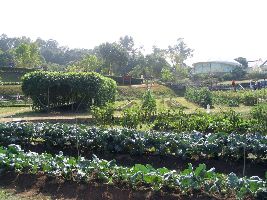 Lions Nature Education Centre