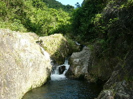 Ma On Shan Country Park