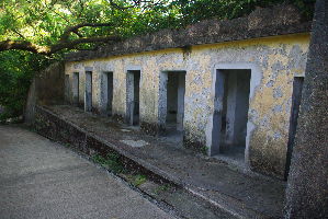 Pinewood Battery