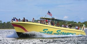 Sea Screamer
