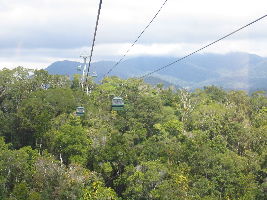 The Skyrail Rainforest Cableway