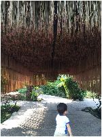 The Secret Garden Utama