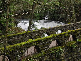 Whatcom Falls Park