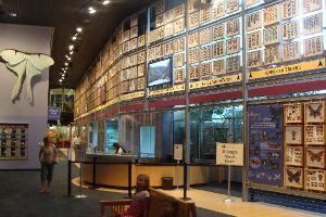 Florida Museum of Natural History