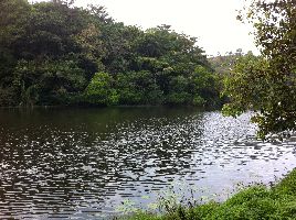 Pookot Lake